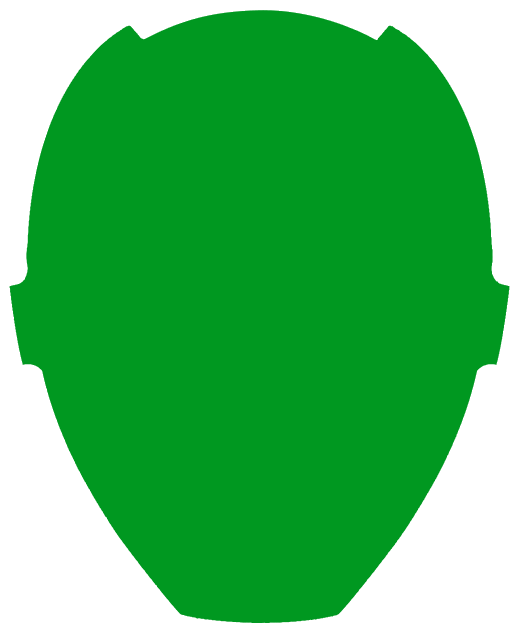 Power Ranger Head Application - Green